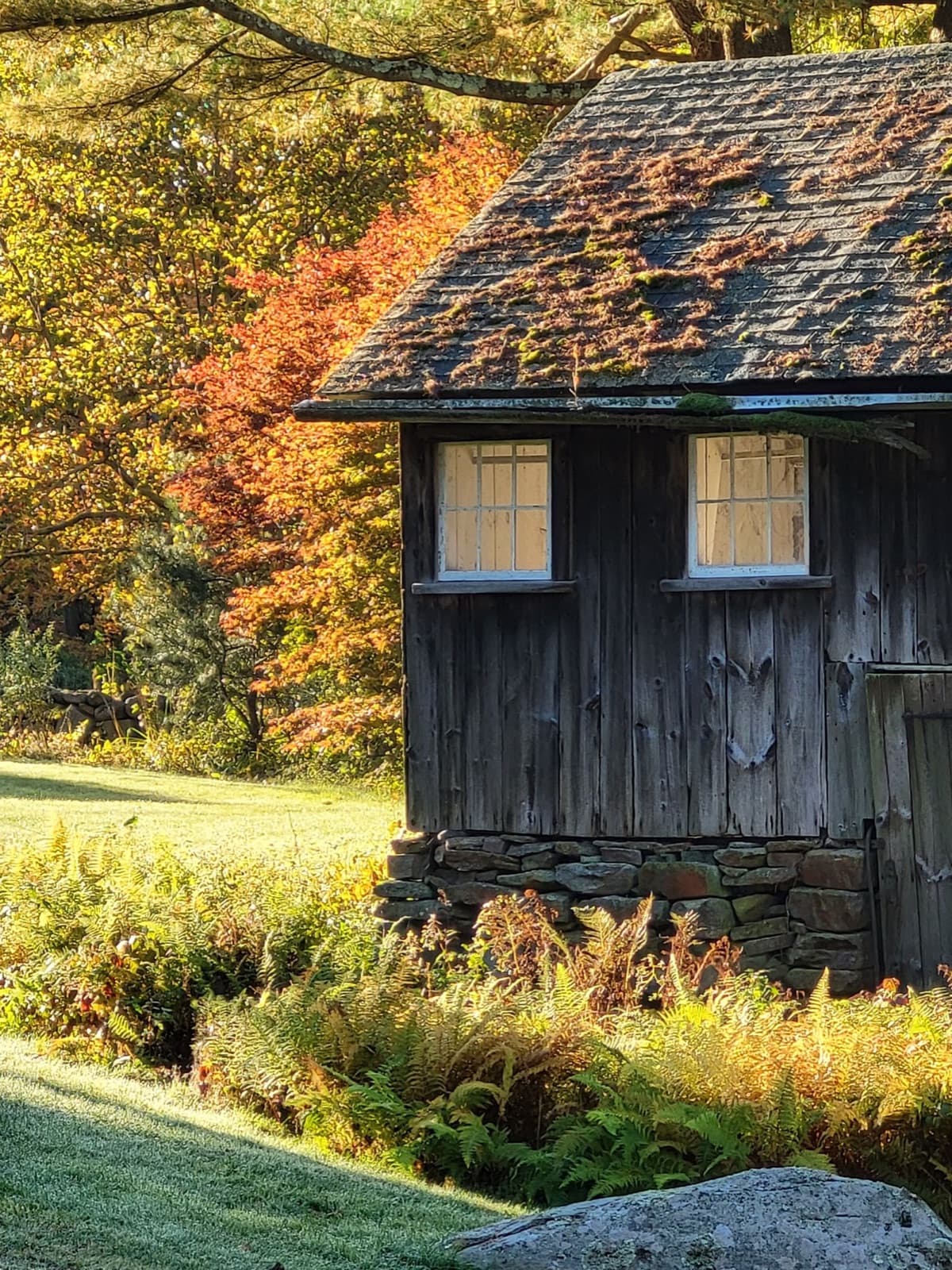 Rustic wooden house surrounded by vibrant fall foliage