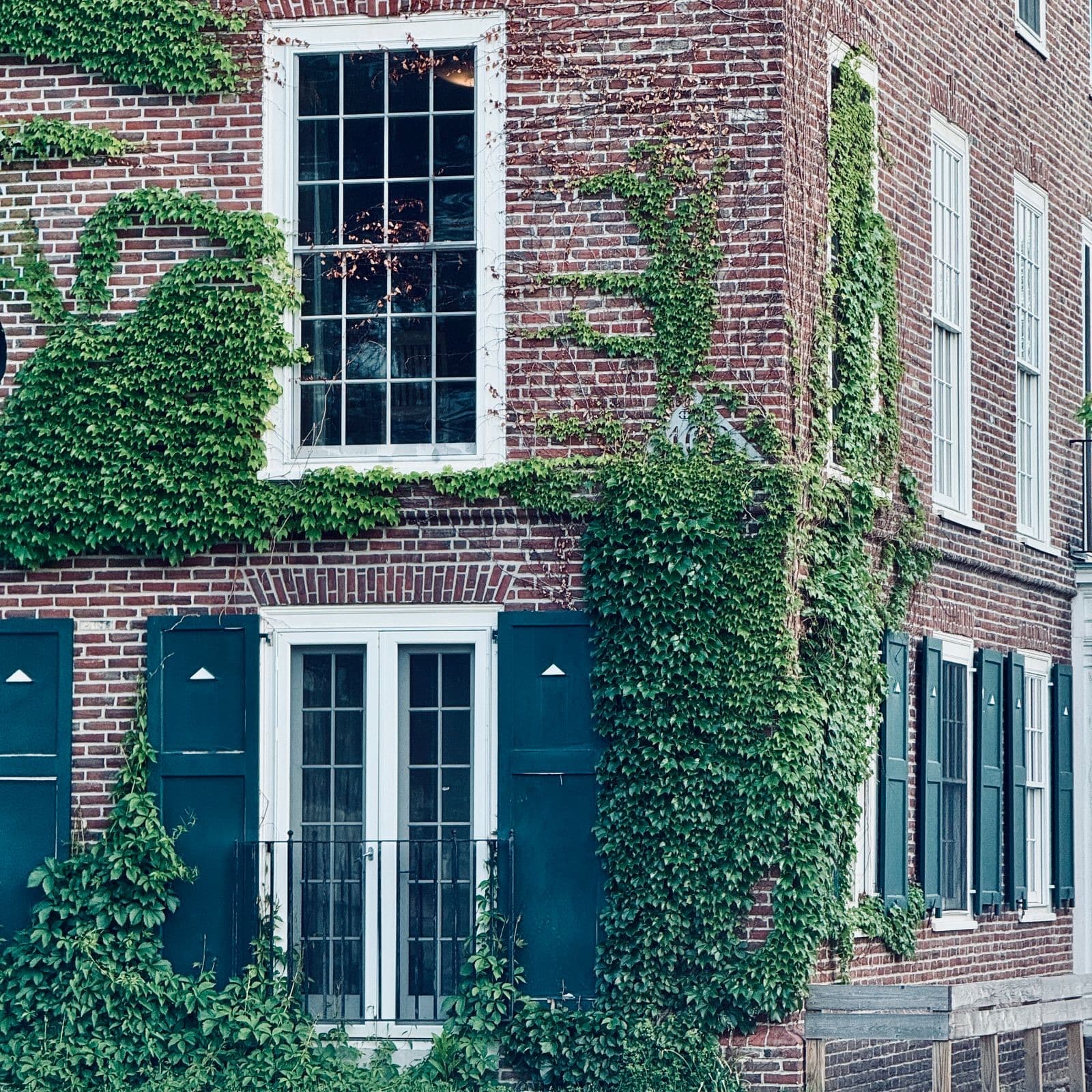 Charming brick house with ivy and blue shutters