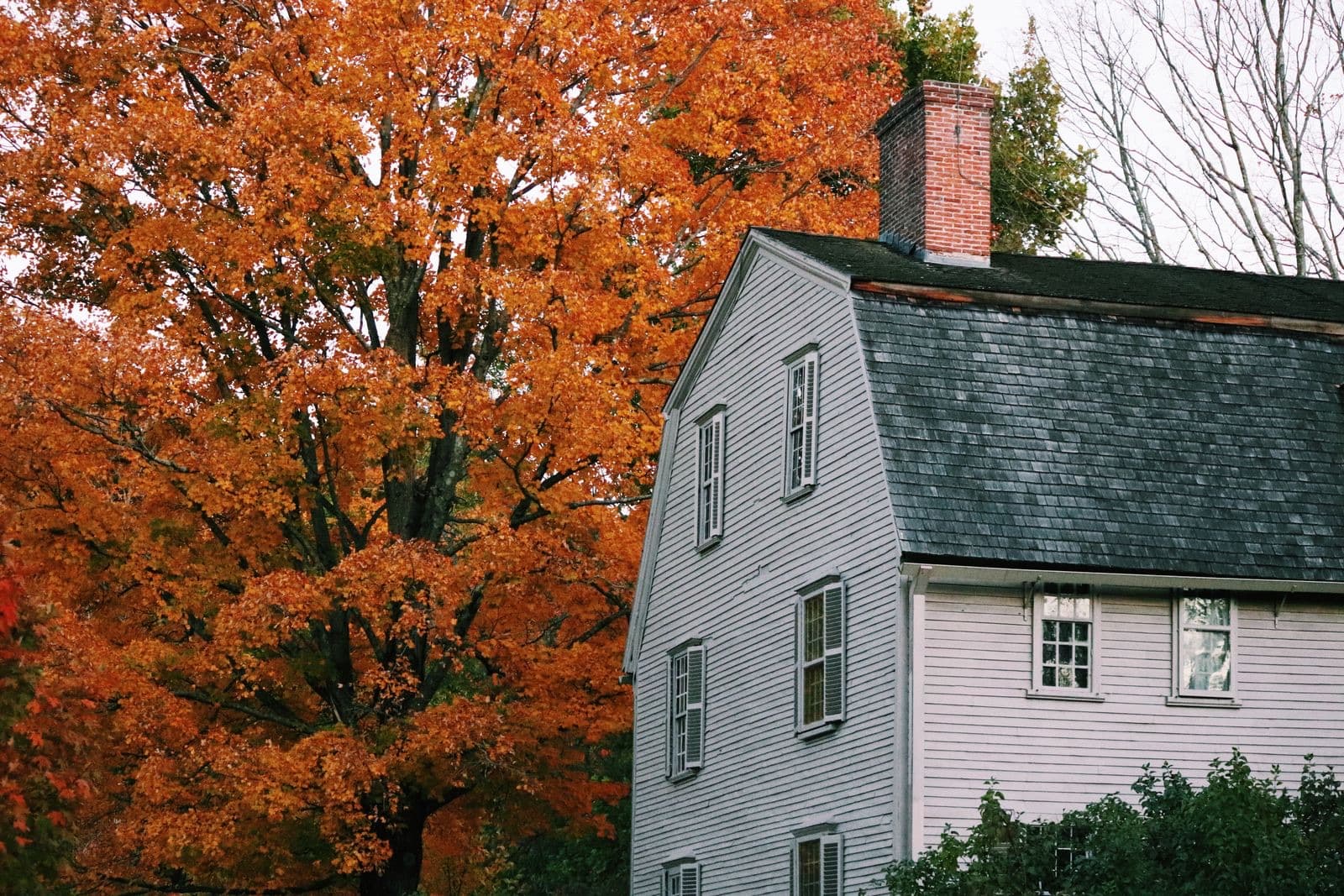 Historic house framed by vibrant autumn leaves