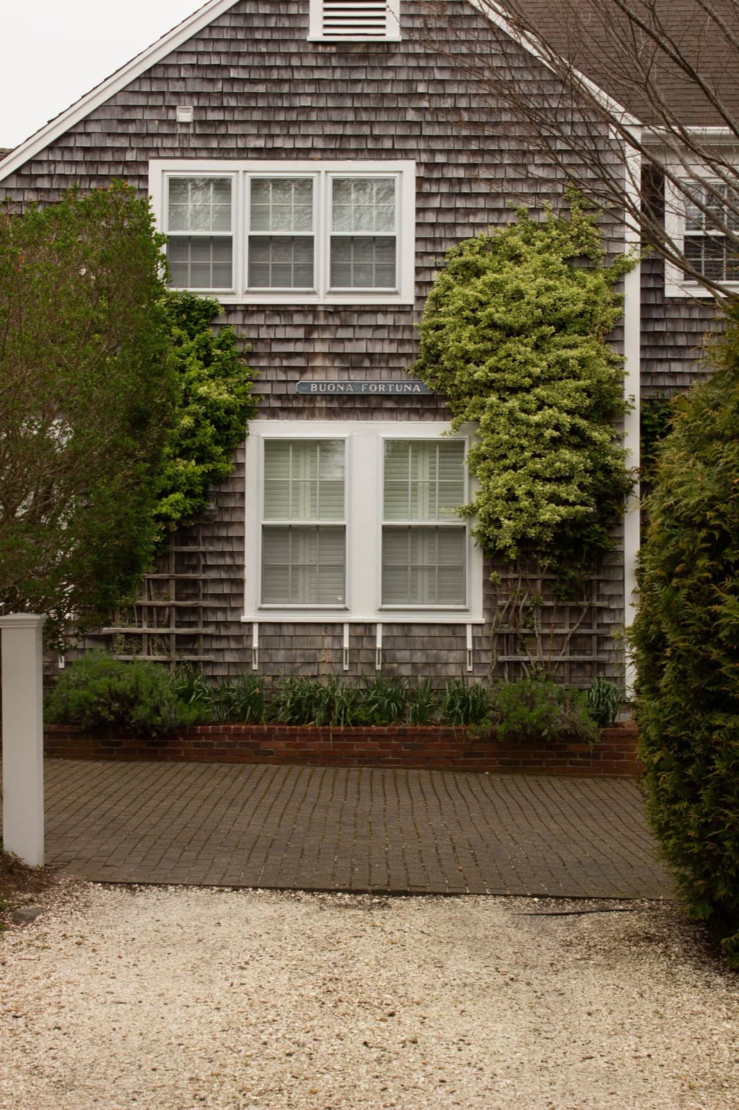 Shingled cottage with ivy covering its facade