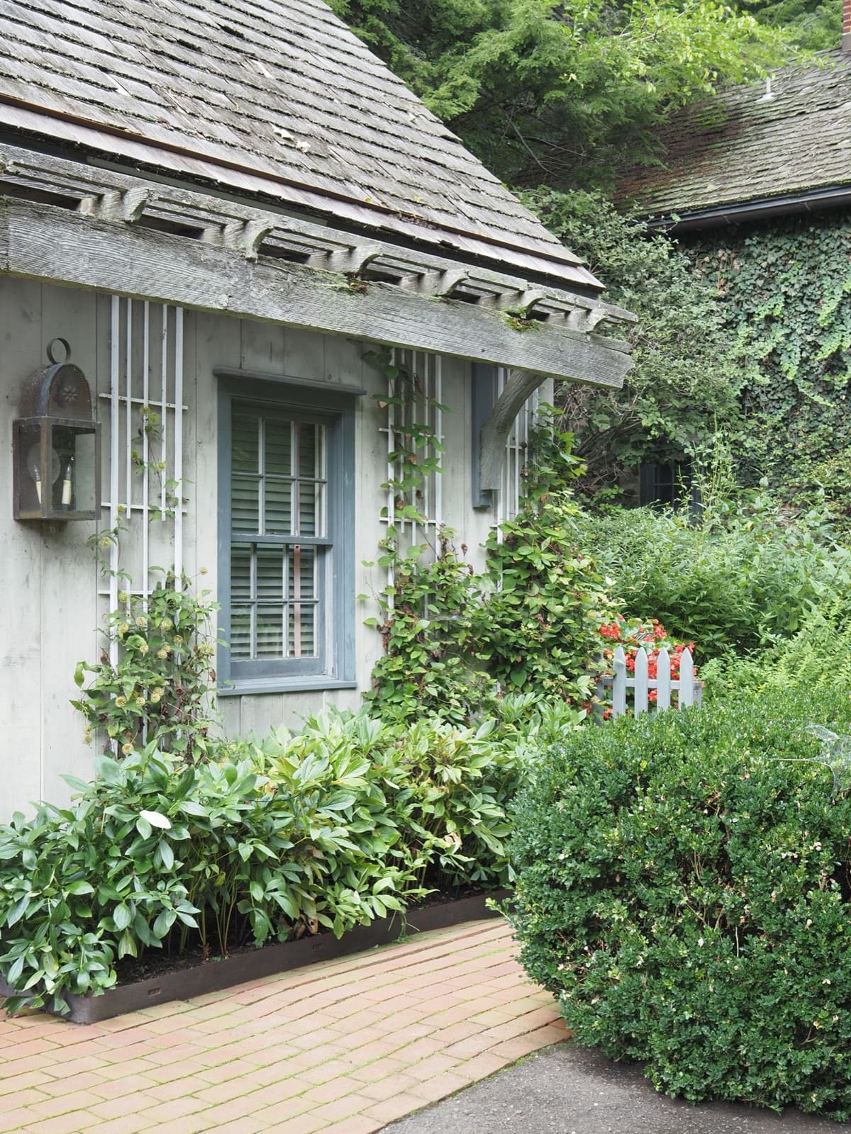 Rustic cottage surrounded by lush greenery and climbing vines