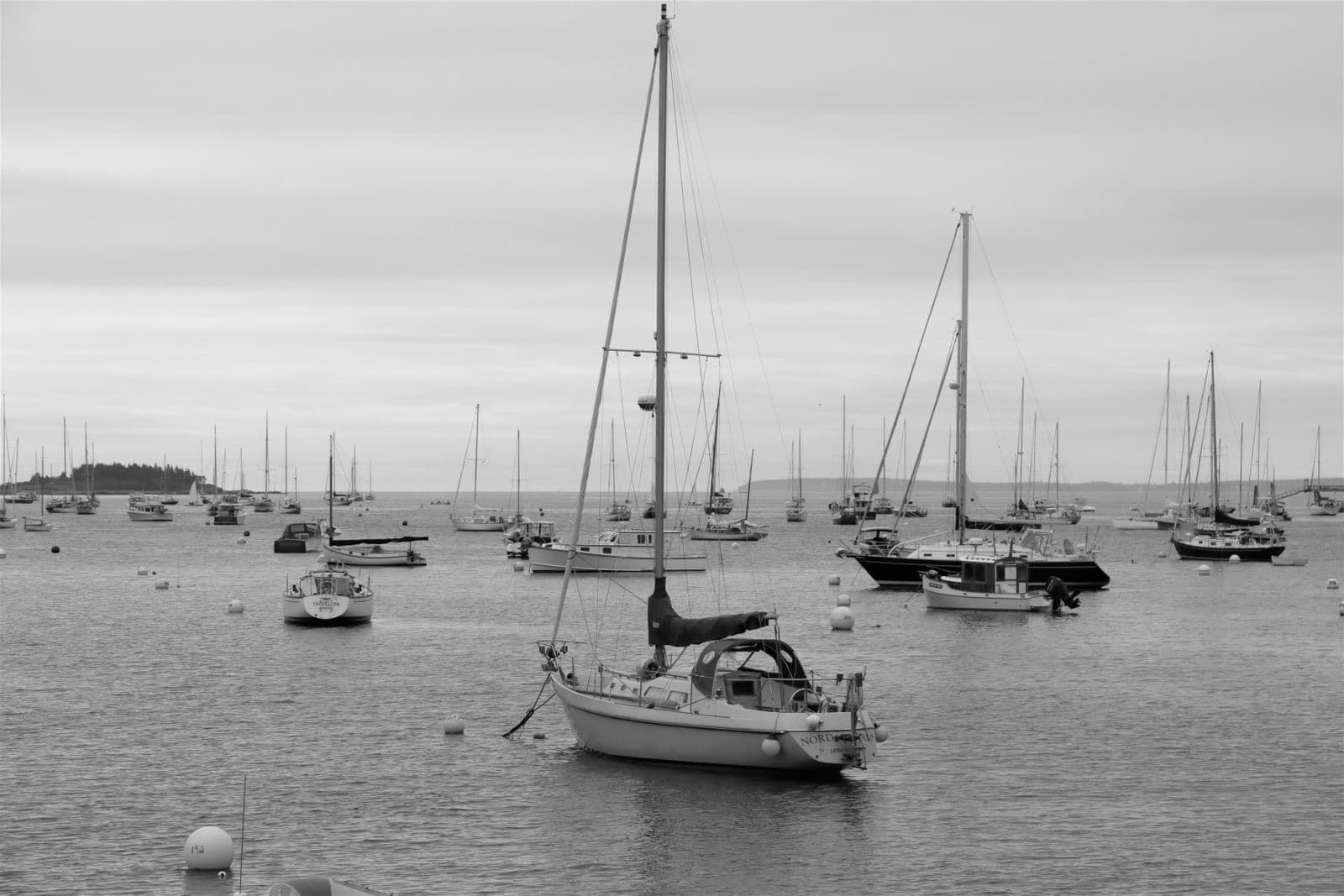 Black and white photo of boats anchored in a New England harbor