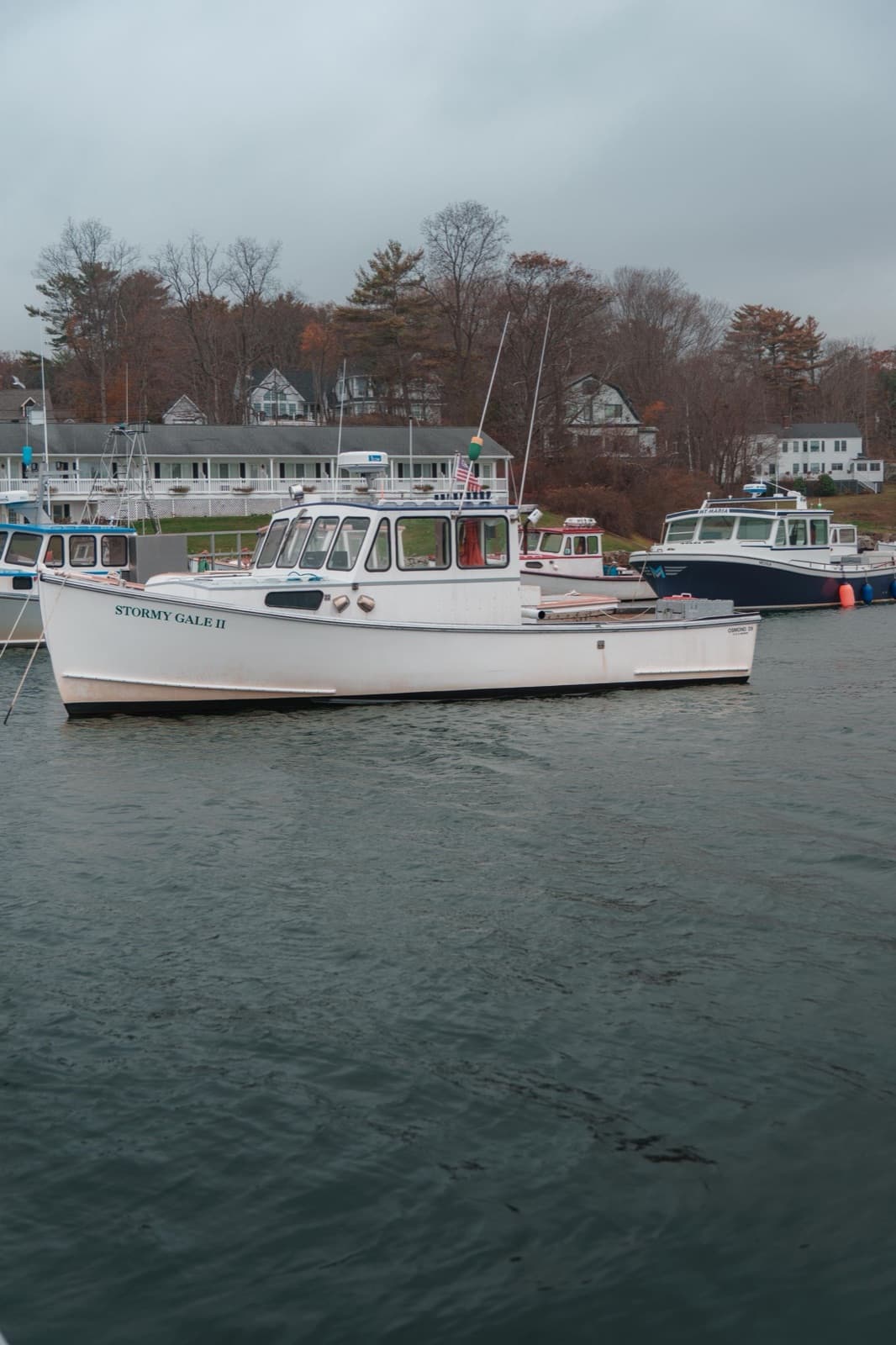 Serene harbor scene with boats docked under an autumn sky