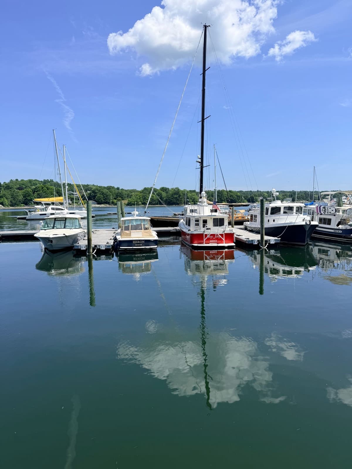 Boats docked on a sunny day at a New England harbor