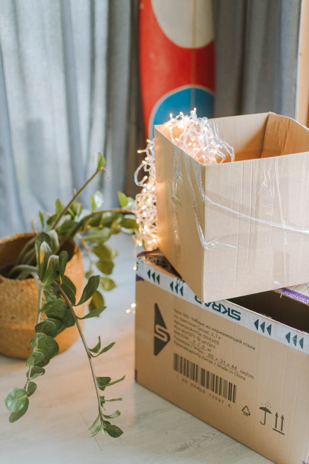 Cardboard moving boxes with a houseplant