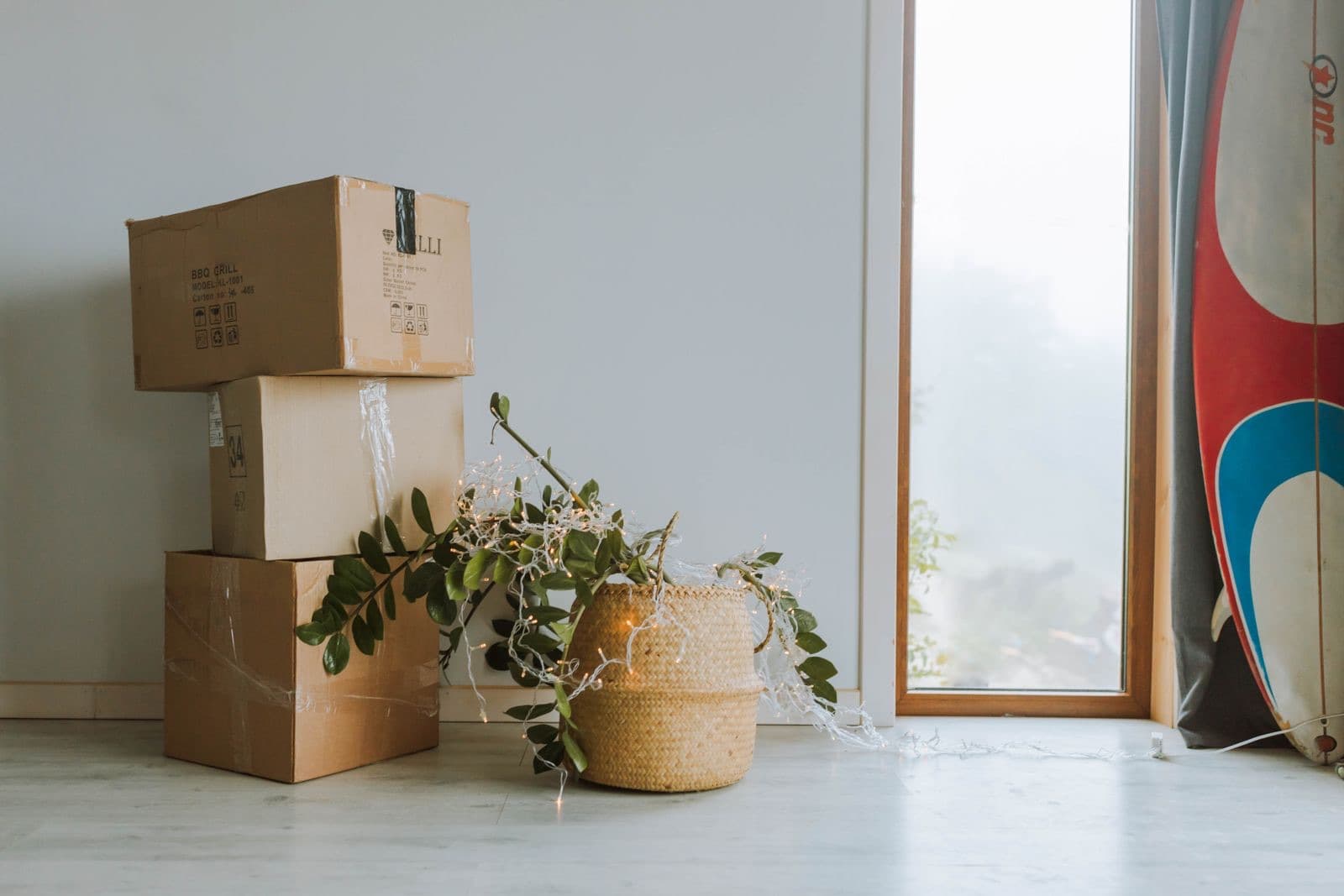 Cardboard moving boxes beside a green plant