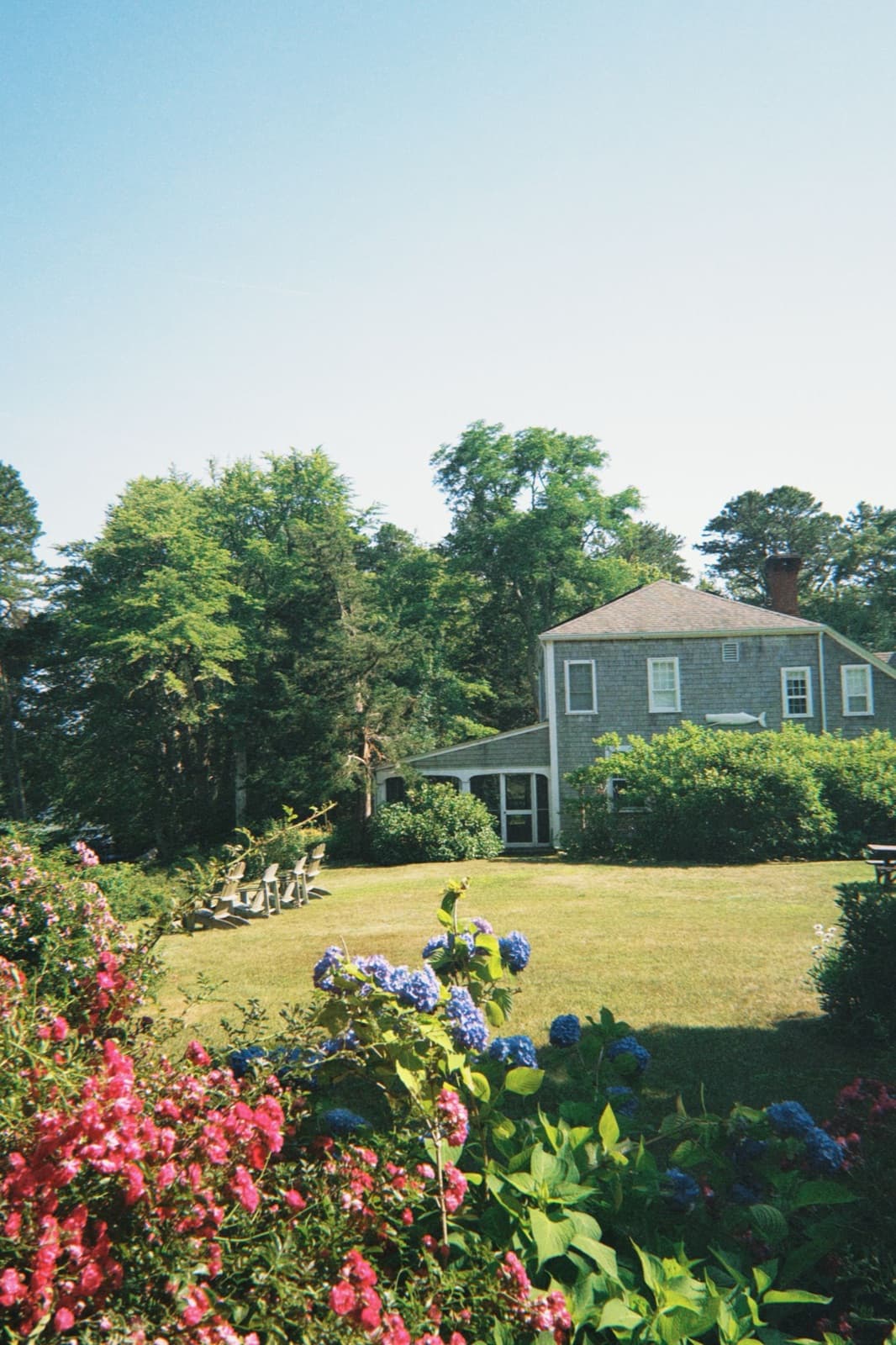 Gray-shingled colonial style home with a landscaped garden of roses